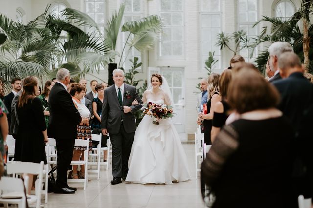 Featured photo from Piper Palm House