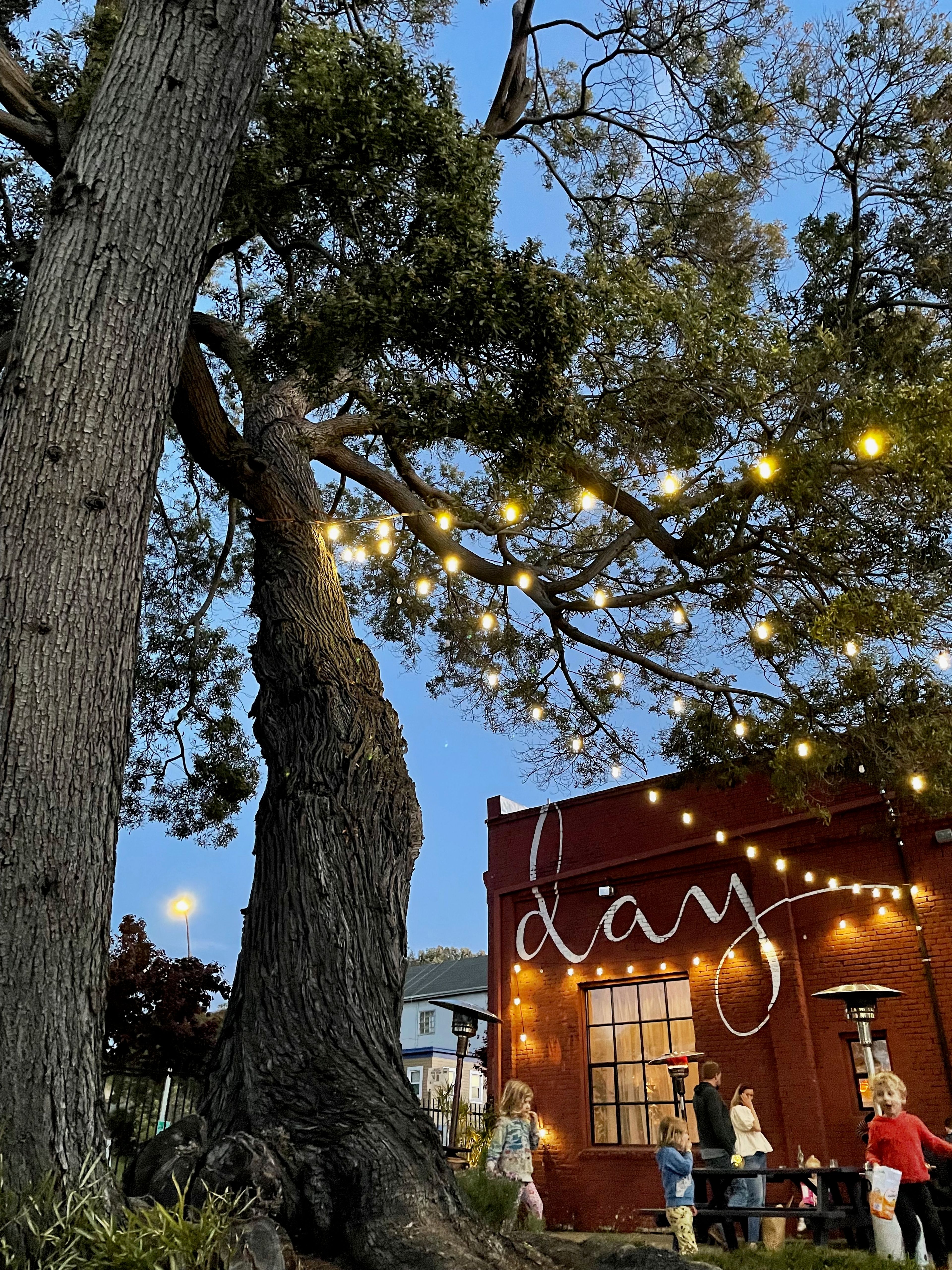 The Courtyard, an event space at Lovely Day