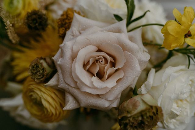 Featured photo from Sophie & Nick