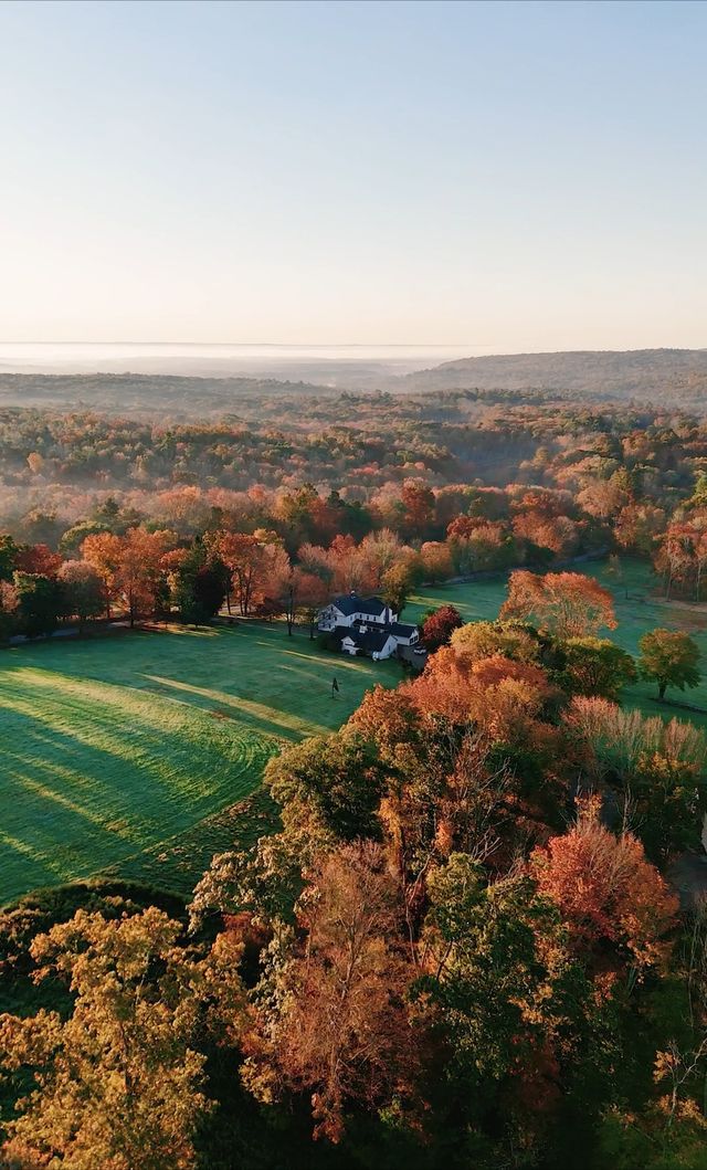 Featured photo from The Fields