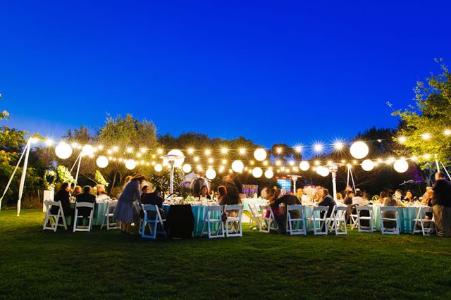 Featured photo from Lower Meadow