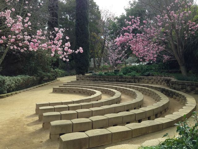 Featured photo from Amphitheater