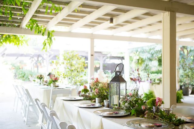 Featured photo from Koi Pond Patio