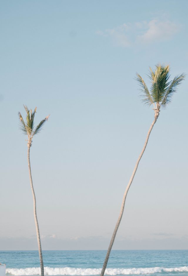 Featured photo from S + G's Wedding in Punta Cana at the Dreams Macao Beach Resort