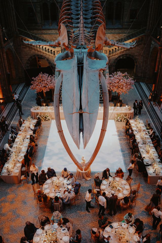 Featured photo from Natural history Museum London