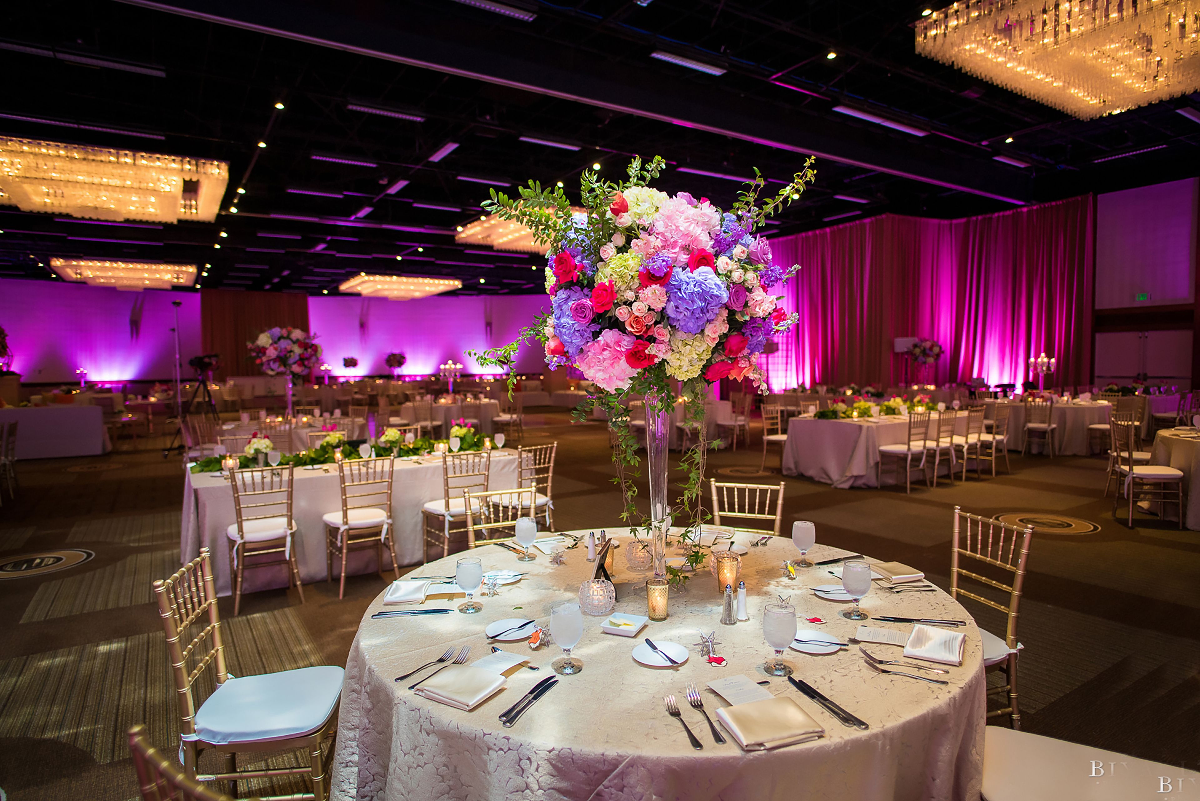 Imperial Ballroom, an event space at Hyatt Regency Houston
