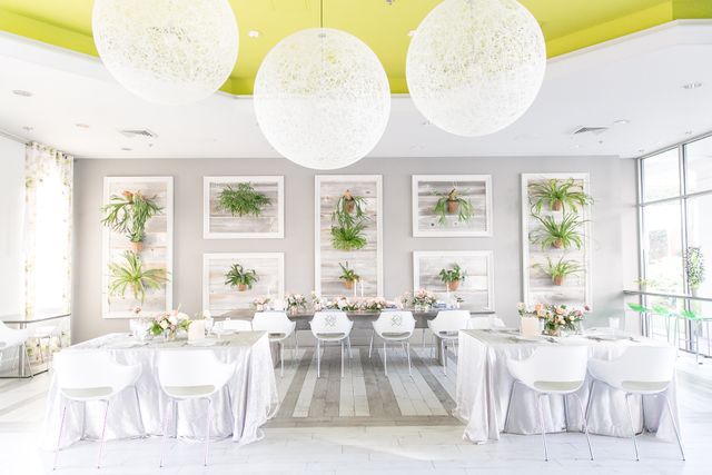 Featured photo from The Conservatory