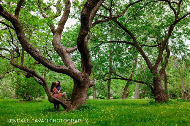 Featured photo from Revel in The Joy of This Delightful Wedding at Crystal Ballroom, Somerville, MA