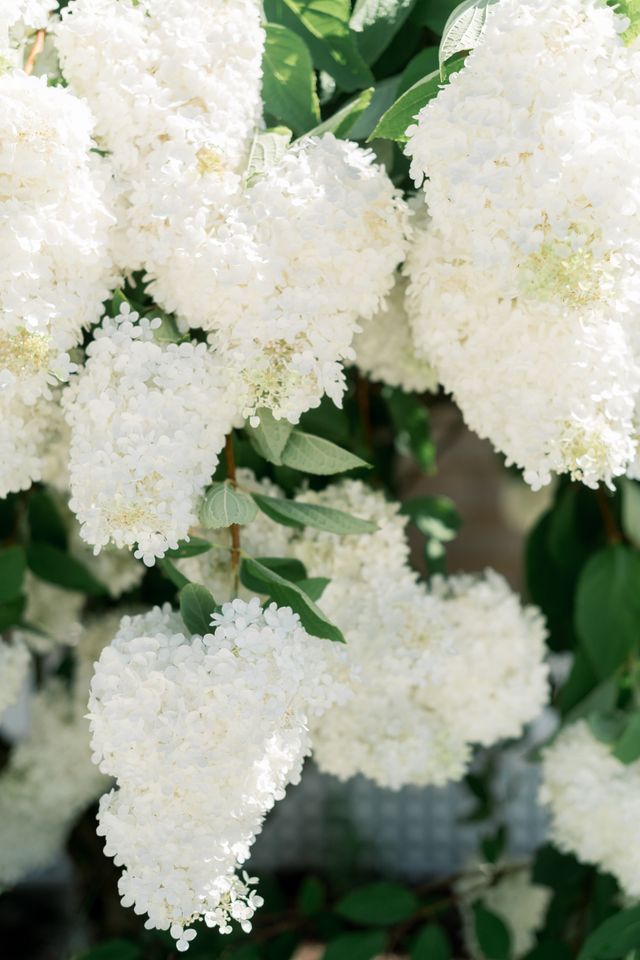 Featured photo from Elegant Coastal Garden Party - Newport, RI