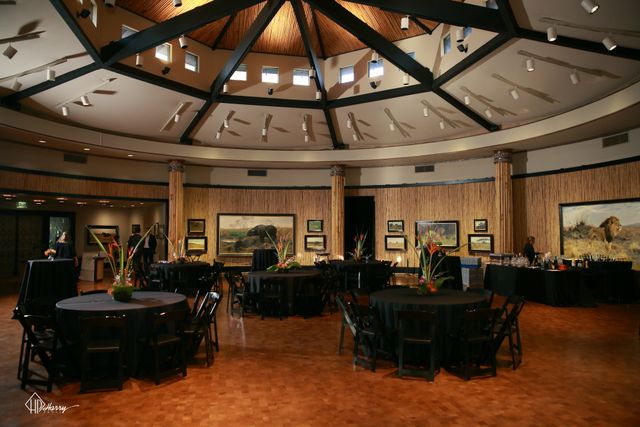 Featured photo from Portraits of the Wild Art Gallery