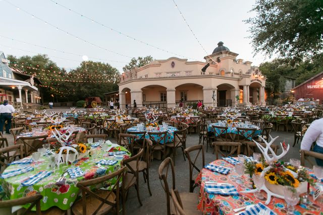 Featured photo from Texas Wild!