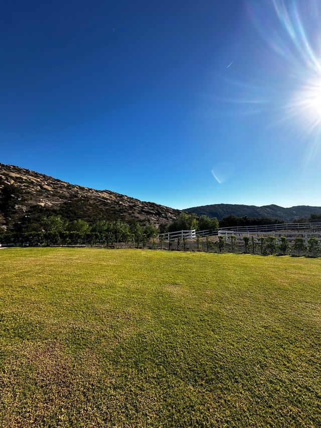 Featured photo from Q Vineyard at Hummingbird Nest