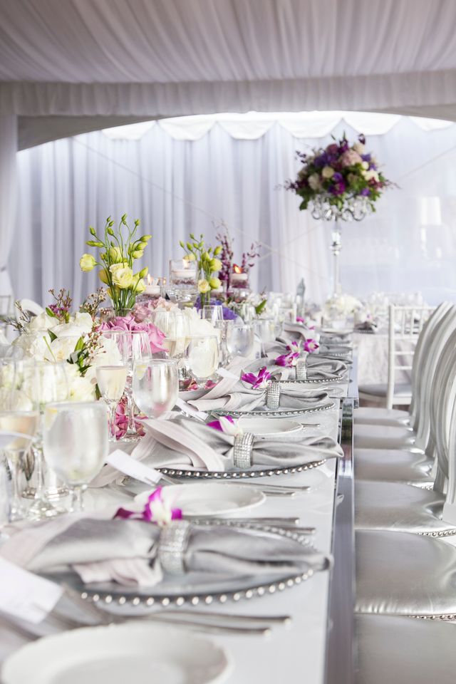 Featured photo from Garden Platinum