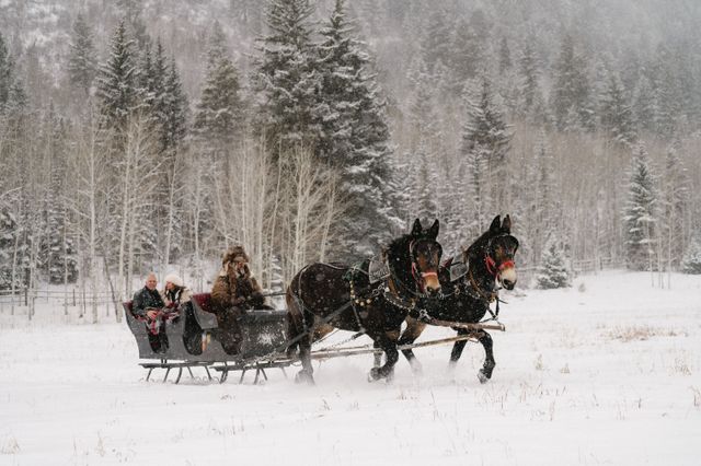 Featured photo from Romantic Winter Proposal in Aspen with a Mountain Sleighride