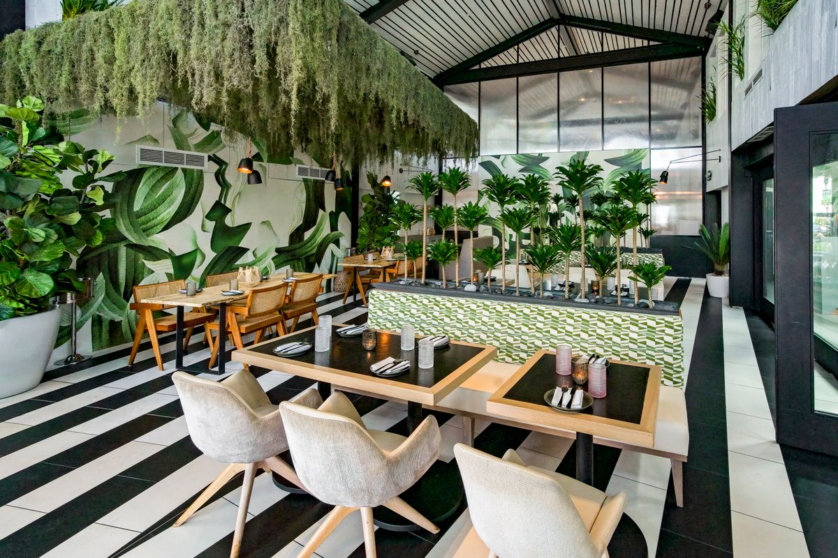 planta south beach dress code 4 South Florida Giant Planta Vegan Restaurants Close Permanently