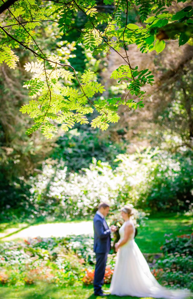 Featured photo from The Grotto