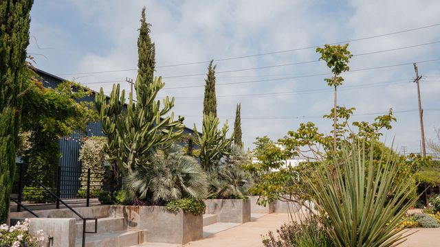 Featured photo from Garden