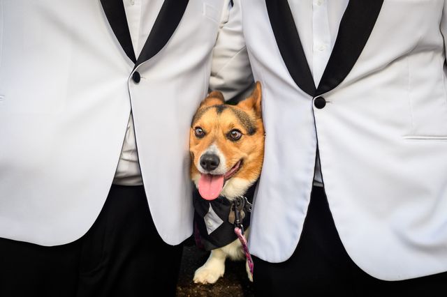 Featured photo from Gabe & Loui