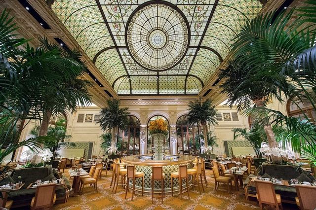 Featured photo from Palm Court