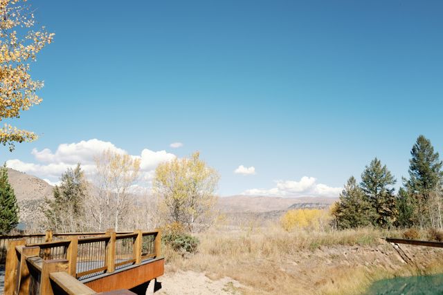 Featured photo from The Pond