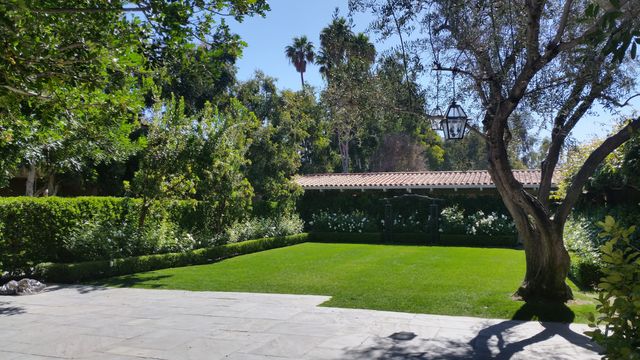 Featured photo from North Lawn