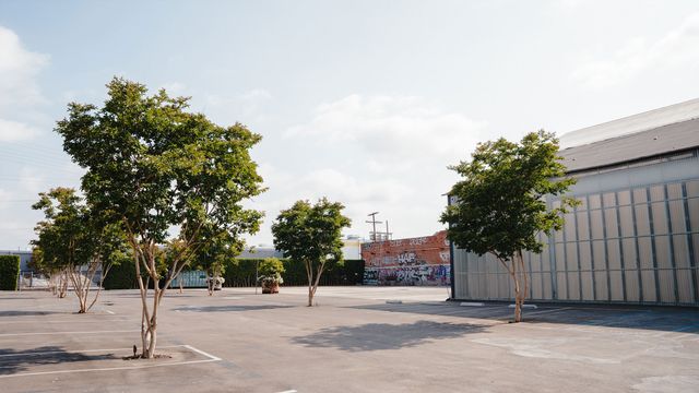 Featured photo from The Pad