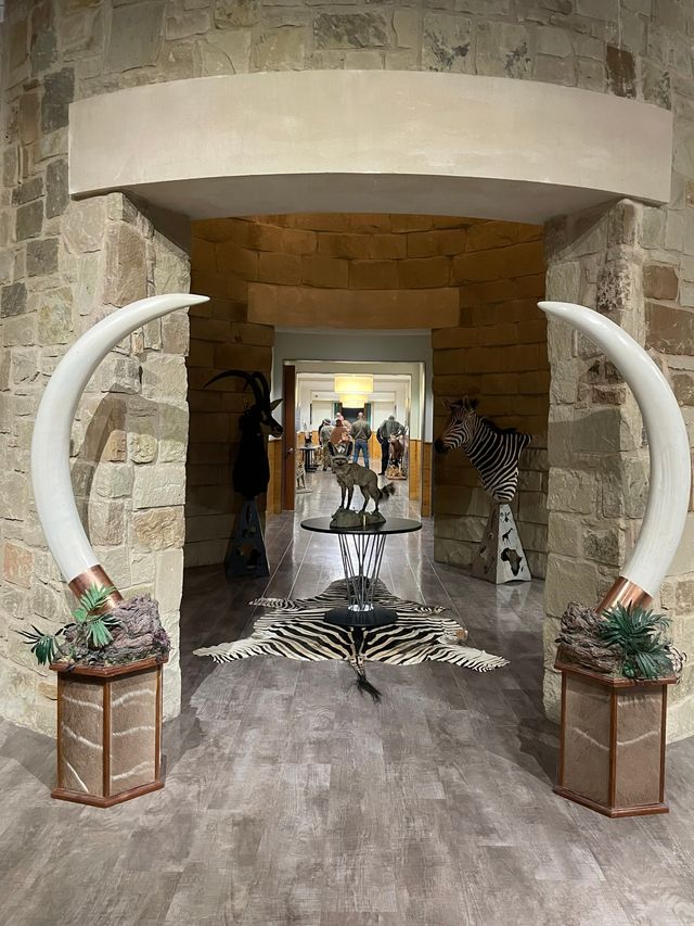 Featured photo from Safari Networking Reception