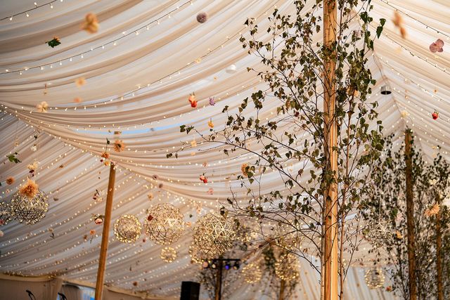 Featured photo from Witness the Blending of Love and Whimsical Elegance for this Tented Wedding