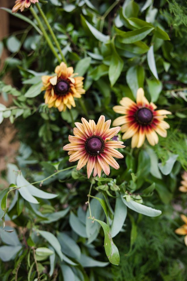 Featured photo from 10 Year Wedding Celebration