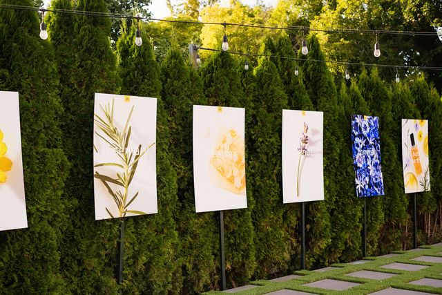 Featured photo from Glamorous Motherline Launch Party Comes to Life with Music by Powell Weddings & Events