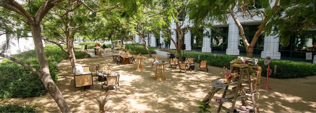 Featured photo from JACARANDA ALLEY