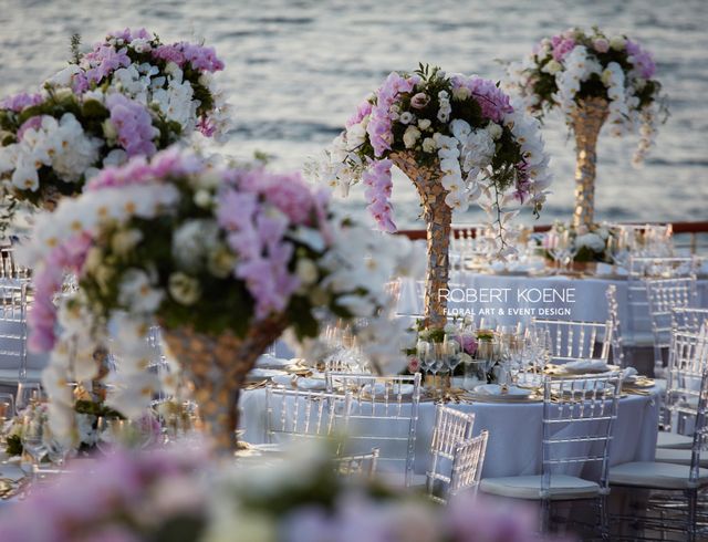 Featured photo from Outdoor