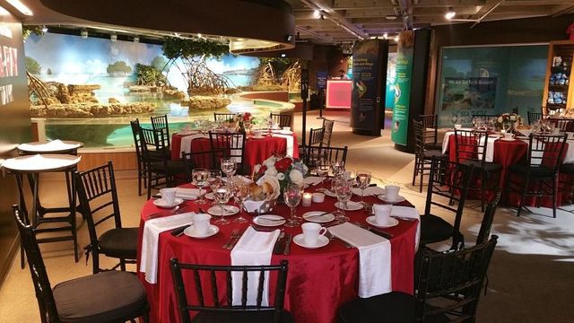 Featured photo from West Wing Gallery