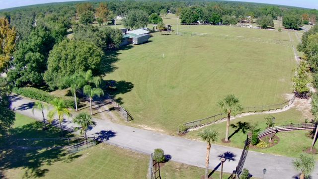 Featured photo from The PADDOCK