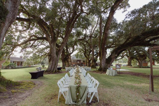 Featured photo from Oak Row