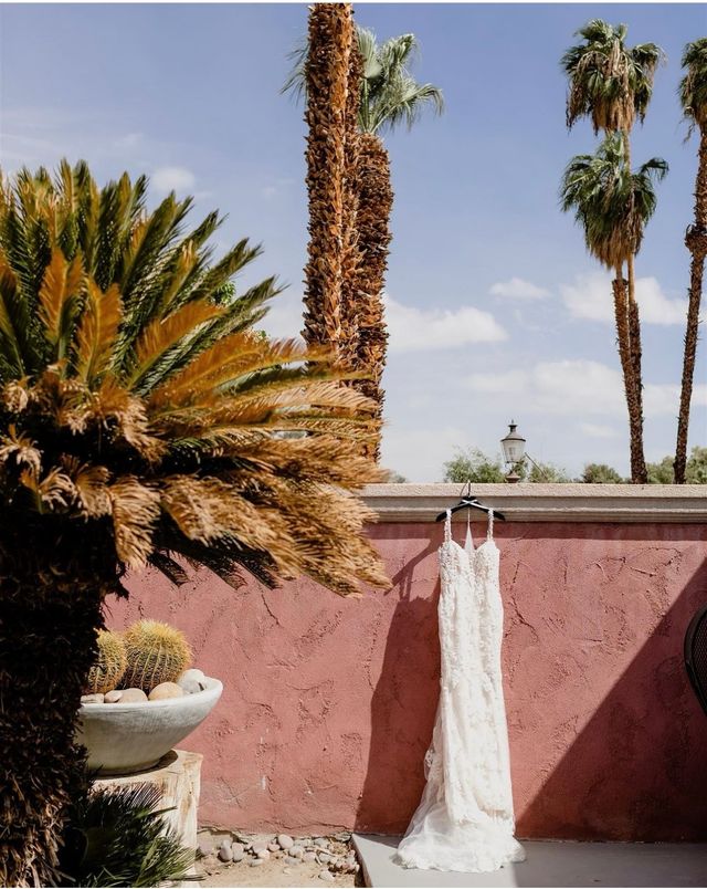 Featured photo from Back