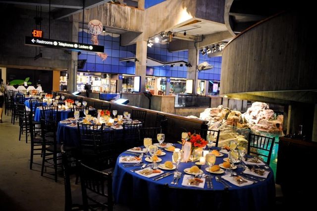 Featured photo from Main Exhibit Gallery