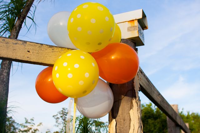 Featured photo from Nicole's 16th Slumber Party