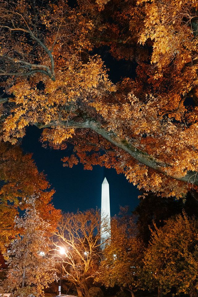 Featured photo from Witness the Timeless Elegance of this Breathtaking November Wedding at the Daughters of the American Revolution
