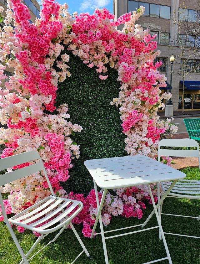 Featured photo from Corporate Cherry Blossom Event