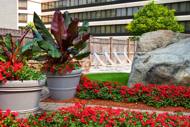 Featured photo from Pool Patio