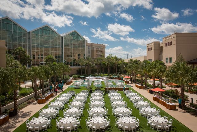 Featured photo from Coquina Lawn