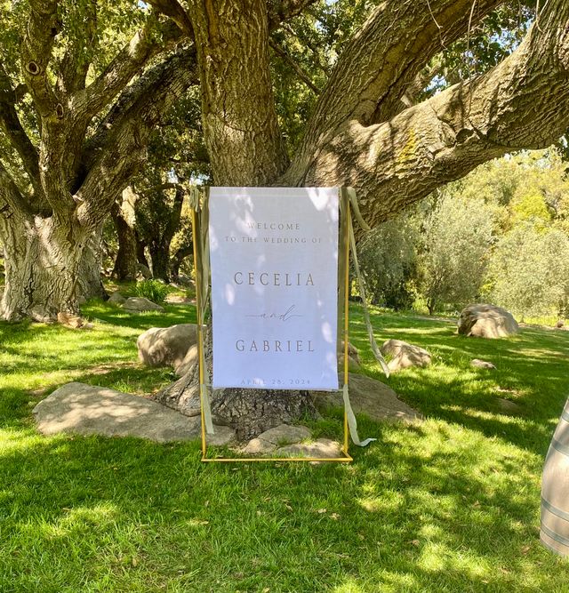 Featured photo from Cecelia + Gabe