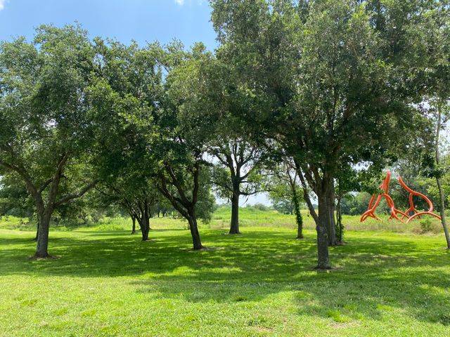 Featured photo from The Canopy