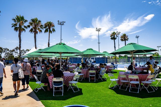 Featured photo from Summer Corporate Picnic