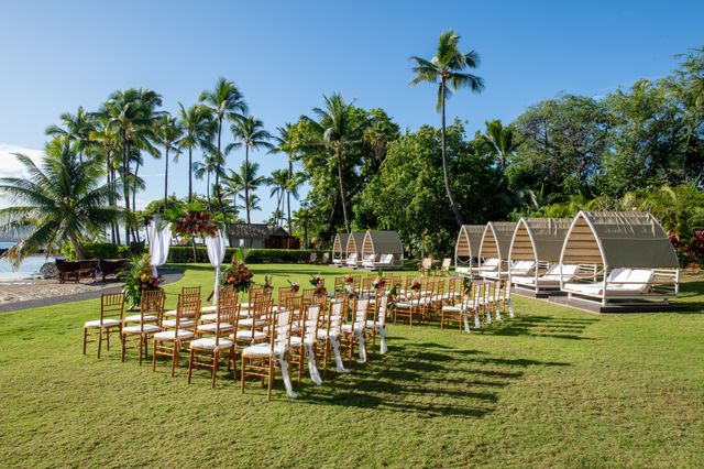 Featured photo from Honu's Lawn