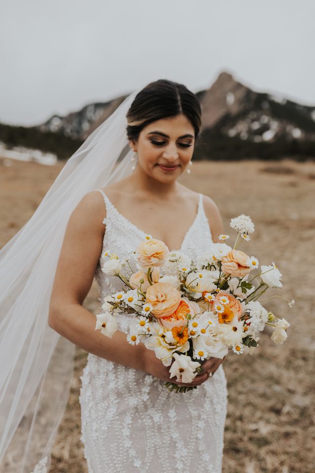 Featured photo from Portfolio Highlights