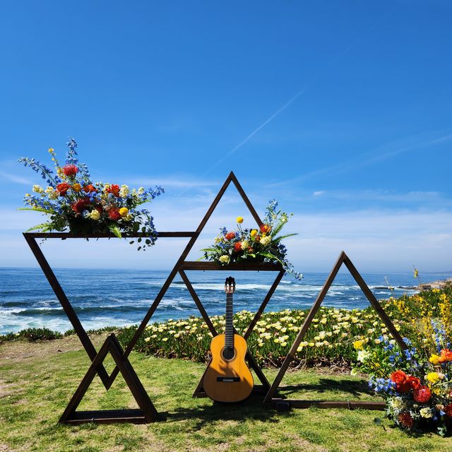 Featured photo from Professional Live Guitar Performance