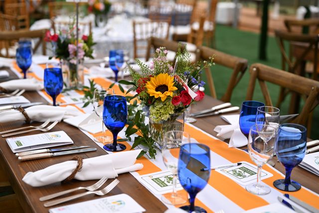 Featured photo from Trees for Houston Root Ball 2024