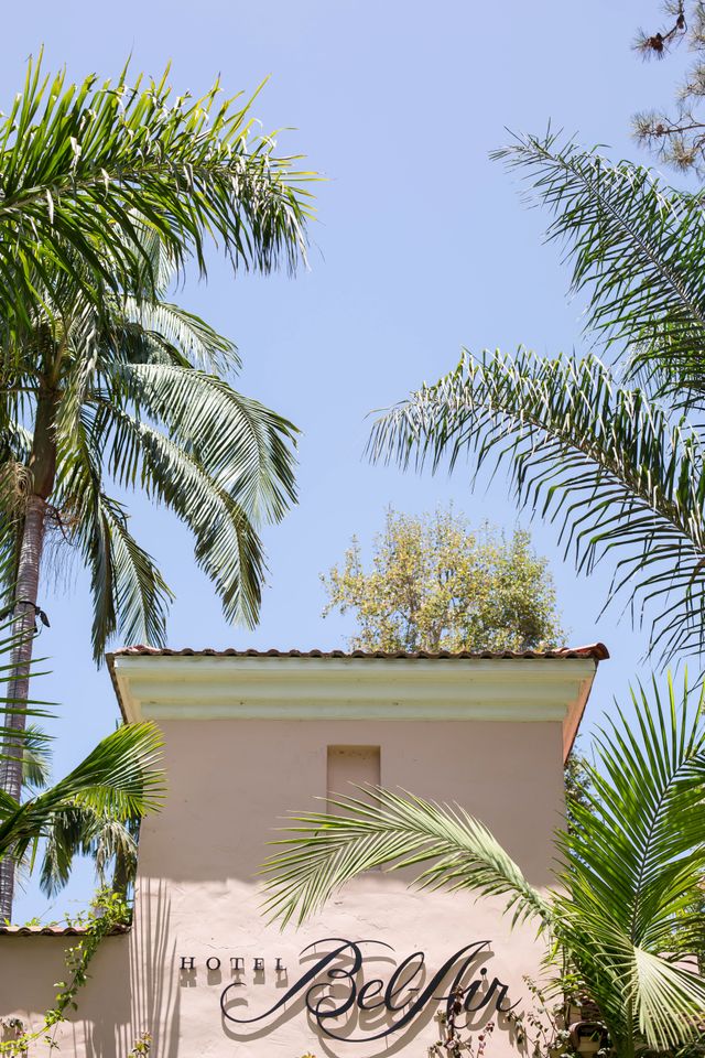 Featured photo from Sasha and Andrew